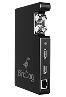 BirdDog Studio